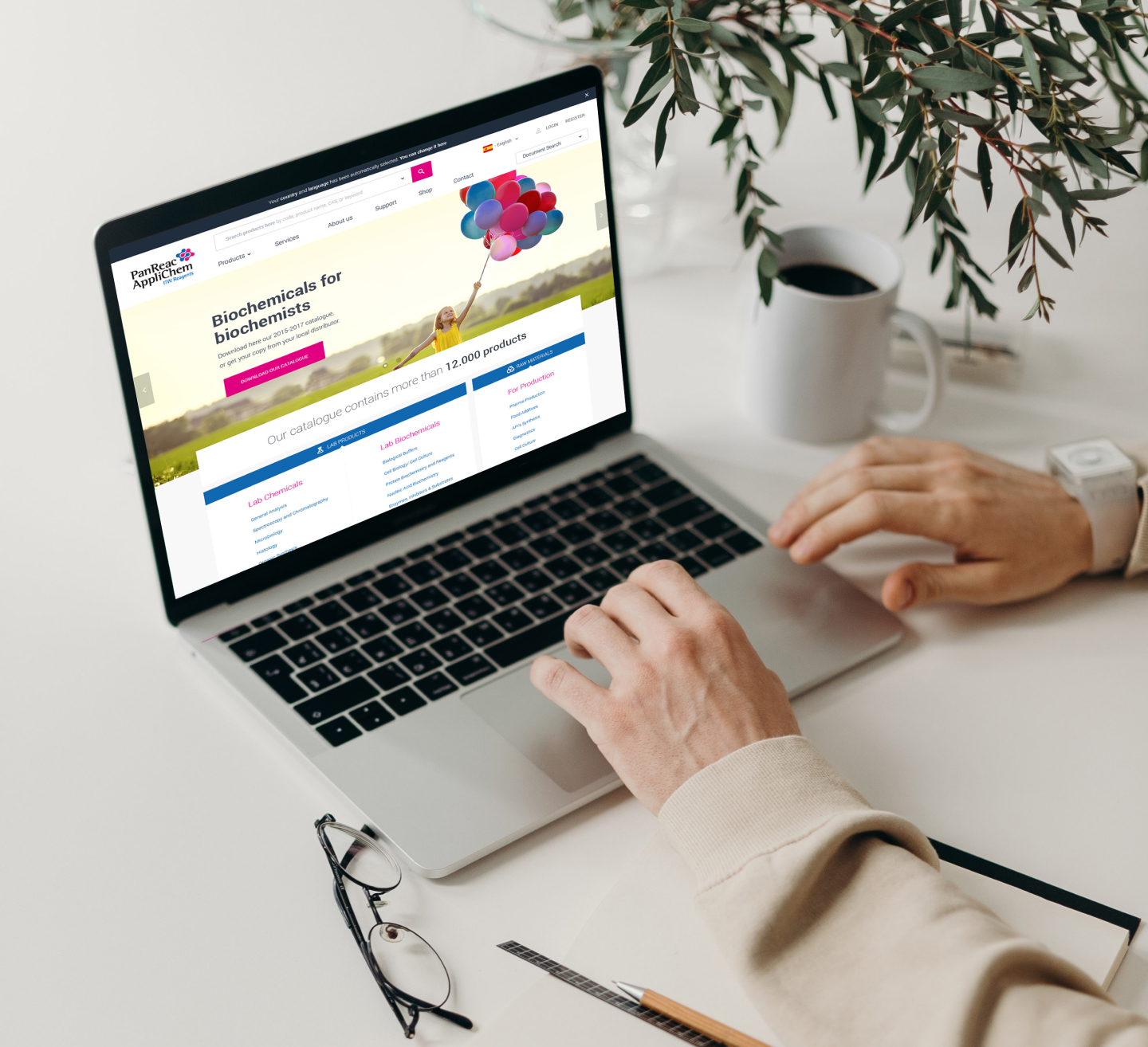 Captura de pantalla del proyecto